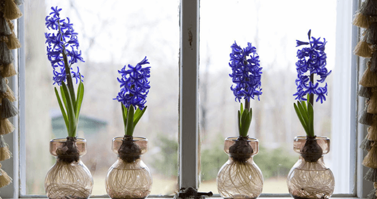 top interior designers in chandigarh