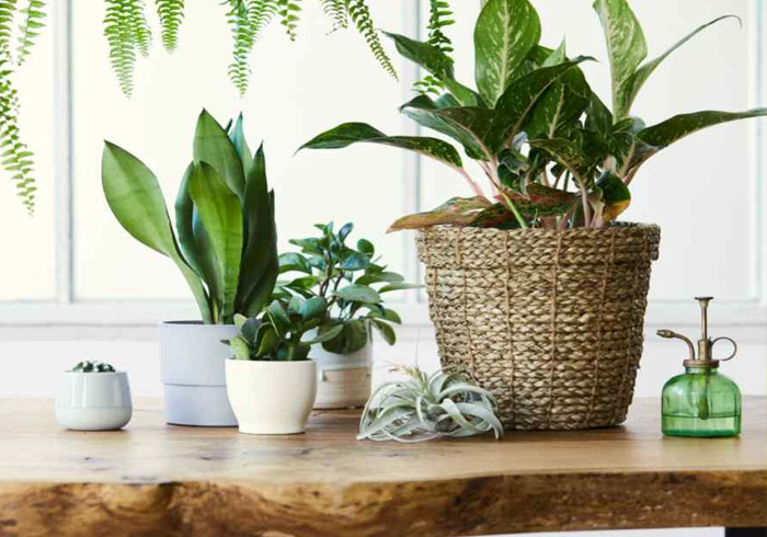 interior designer in mohali
