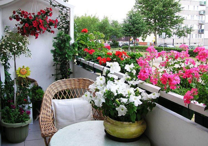 interior designer in chandigarh