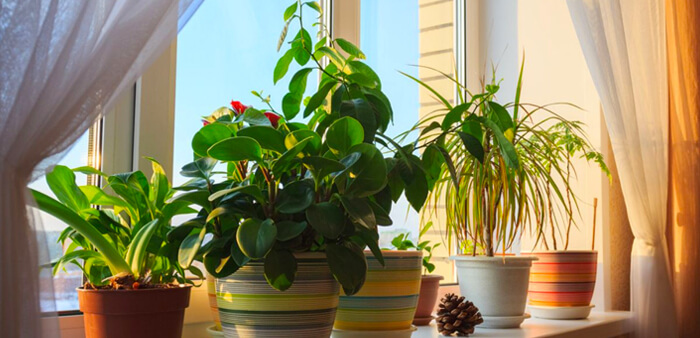 interior design company in chandigarh