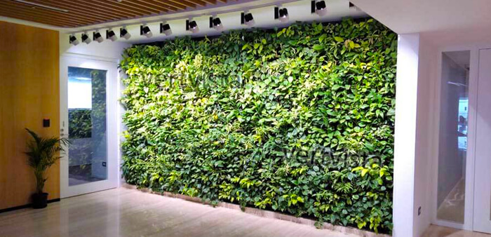 interior design company in chandigarh