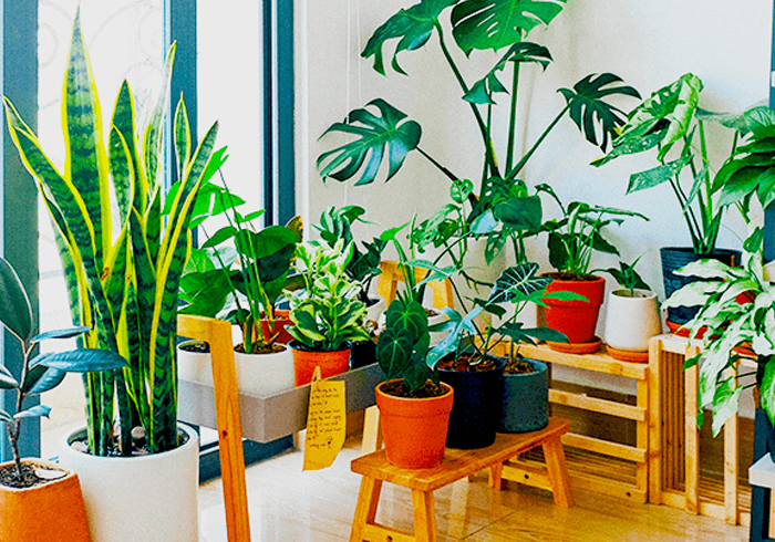 interior decorator in chandigarh