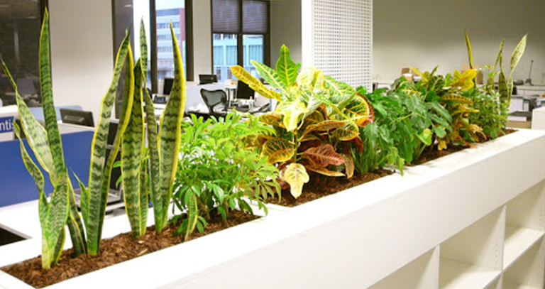 best interior designer chandigarh