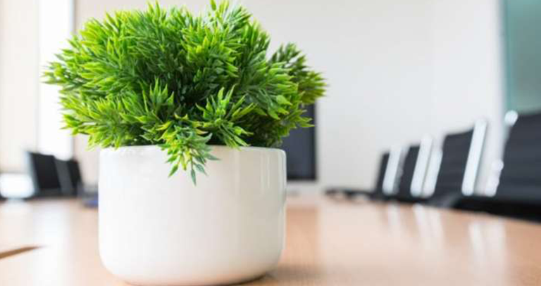 best interior designer in chandigarh