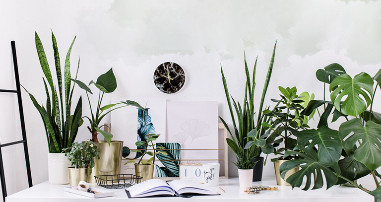 best interior designers in chandigarh