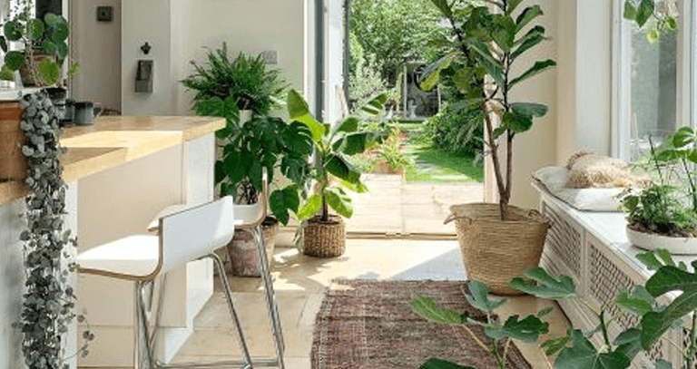 designers in chandigarh