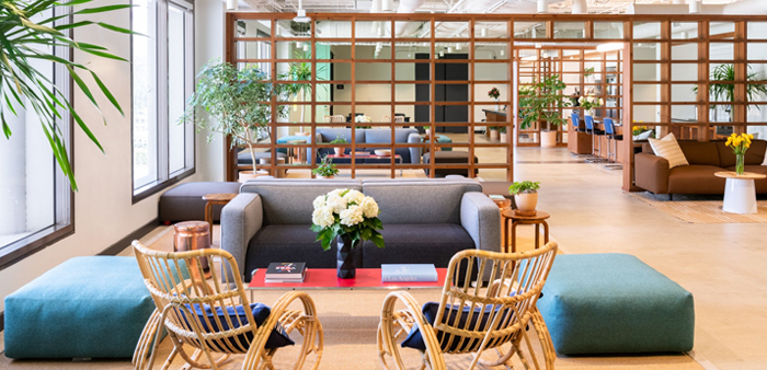 interior design in chandigarh