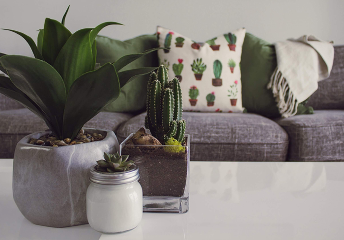 interior design in chandigarh